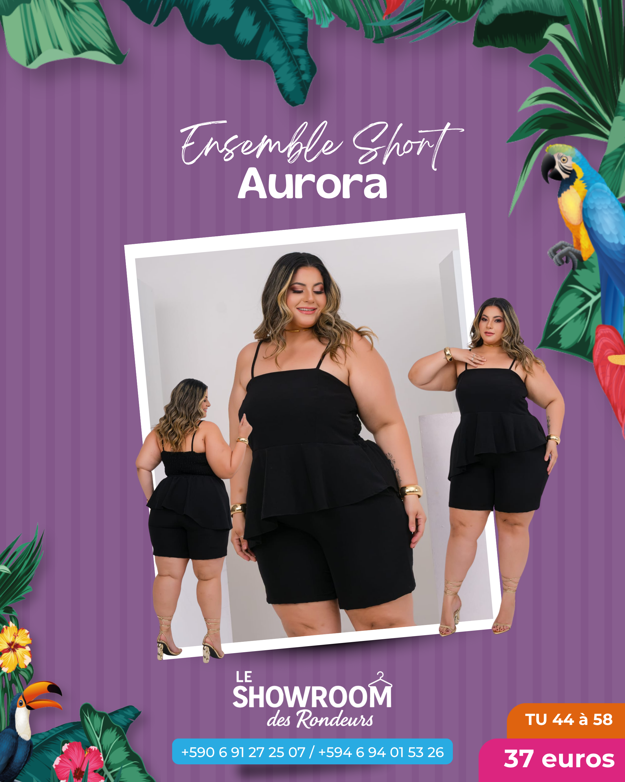 Ensemble Aurora