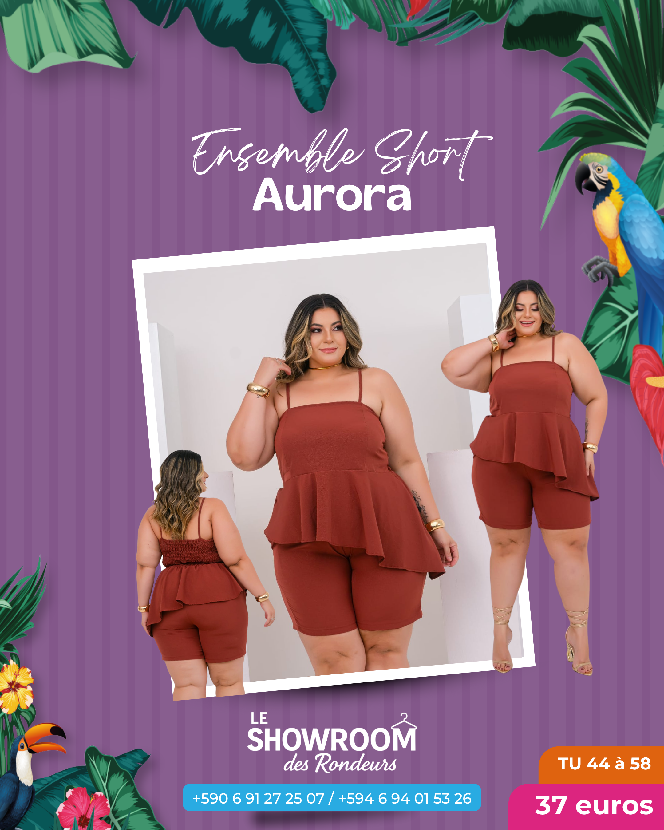 Ensemble Aurora